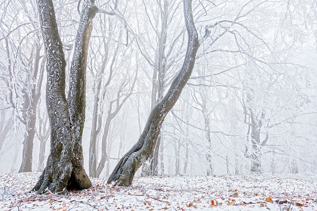 24 спиращи дъха зимни пейзажи от България ♥ damikanyat.bg